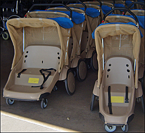 stroller requirements for disney world