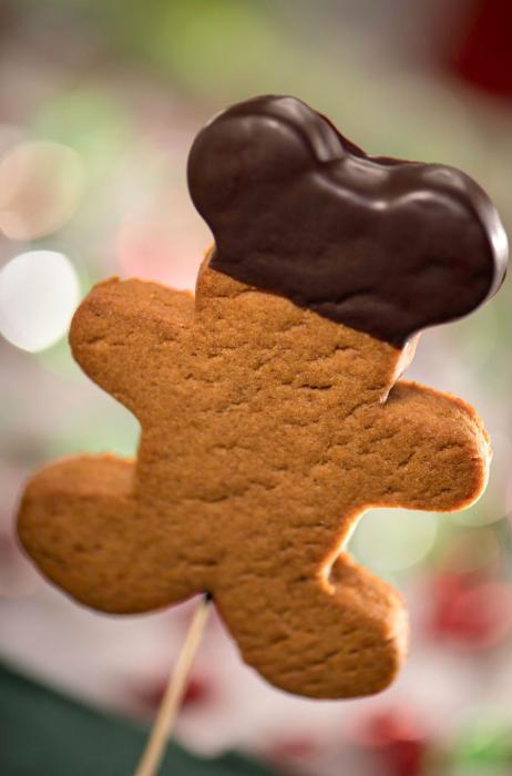 Name:  GingerbreadManCookies.jpg
Views: 854
Size:  30.4 KB